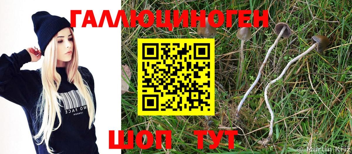 Галлюциногенные грибы мицелий Омск