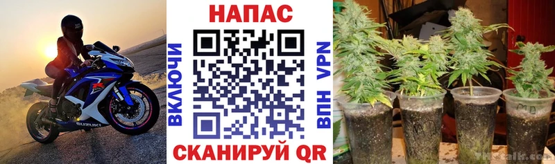 МАРИХУАНА SATIVA & INDICA  Омск 